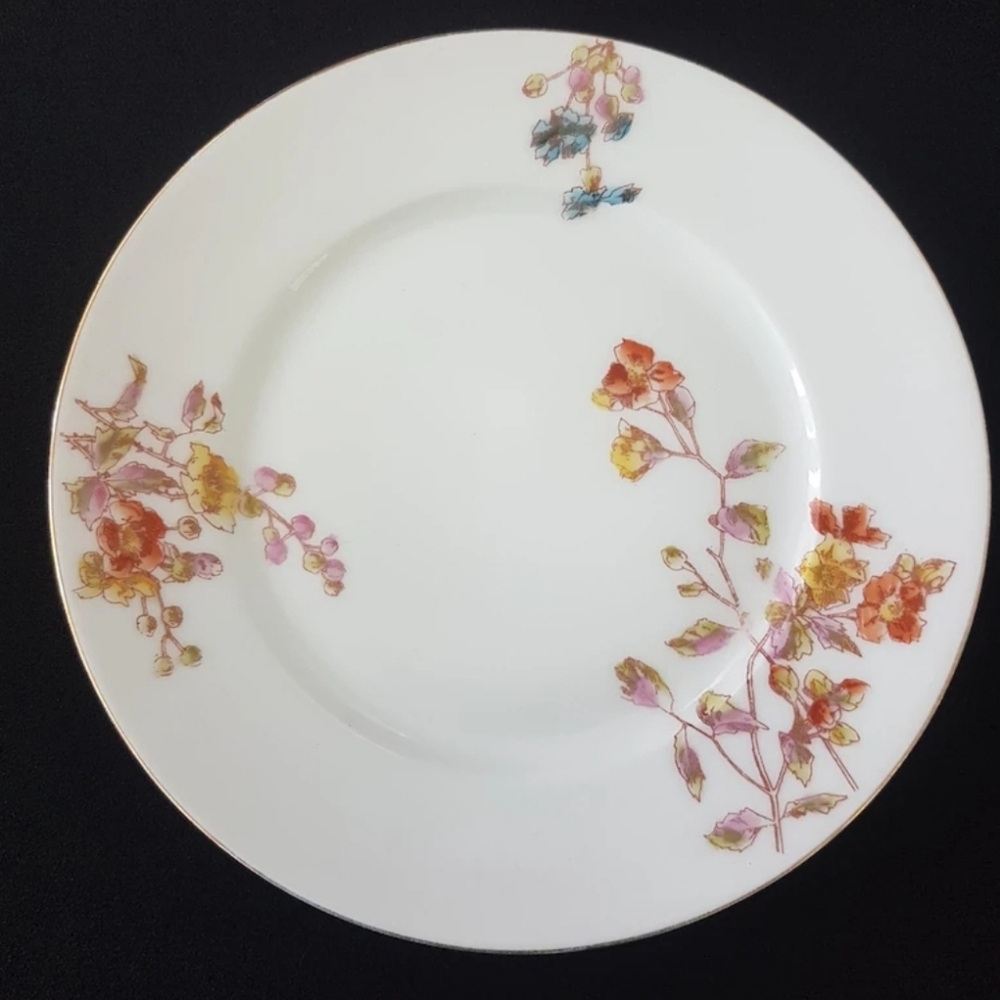Limoges Antique Dessert Plate Set of 4 - Hand Painted - Made in France 1890-1902